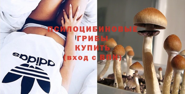 индика Лиски