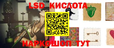 сатива Гатчина