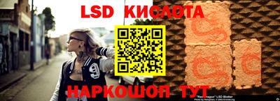 сатива Гатчина