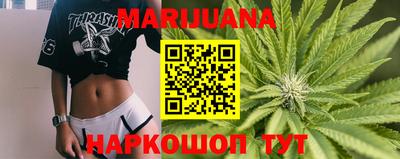 сатива Гатчина
