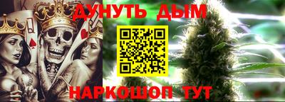 дурь Гай