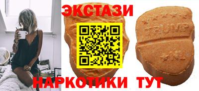 сатива Гатчина
