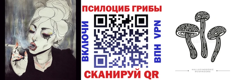 mega   что такое   Рузаевка  Псилоцибиновые грибы прущие грибы 