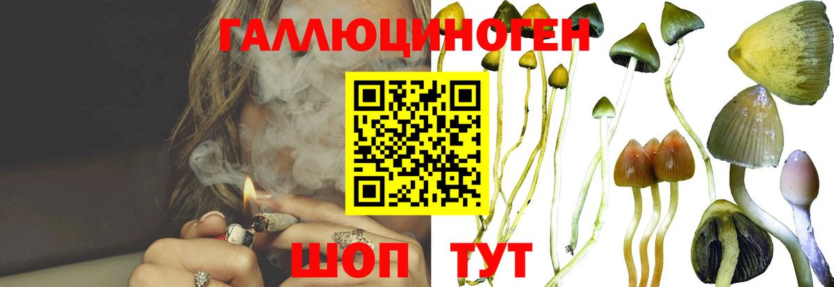 Галлюциногенные грибы прущие грибы  Галлюциногенные грибы мухоморы  Вход с VPN  где купить наркоту  Рузаевка 